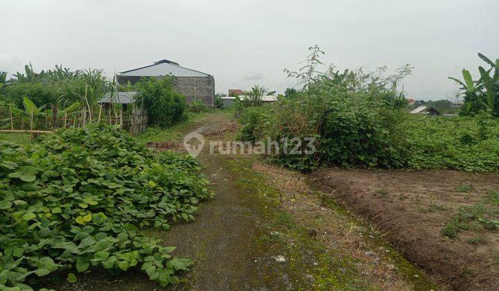 Dijual Tanah murah 200m2, lokadi Bypas Soekarno Kediri Tabanan  2