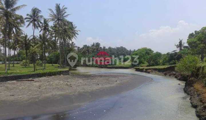 Tanah Jual Lokasi Tangguntiti Tanah Jual Lokasi Tangguntiti