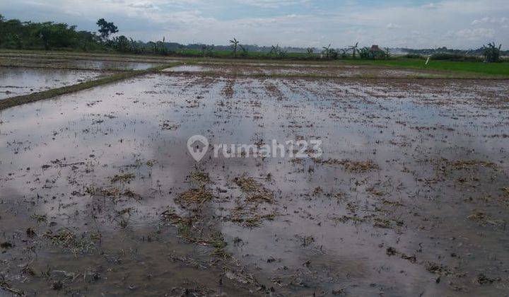 Tanah Sawah di Karawang Kp. Pasir Jengkol Sukamakmur Luas 4.174m 1