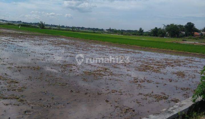 Tanah Sawah di Karawang Kp. Pasir Jengkol Sukamakmur Luas 4.174m 2