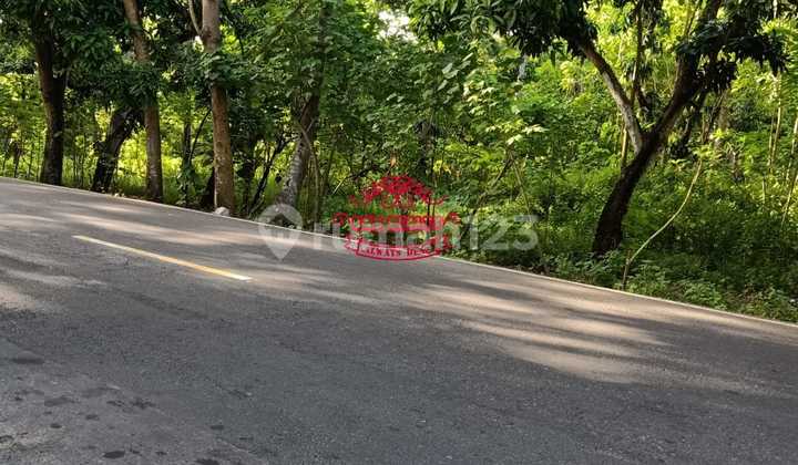 Land for Sale, Wall Location