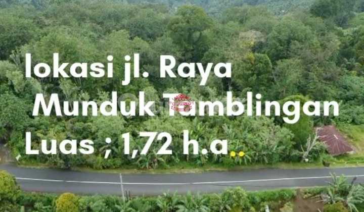 Tanah Jual Lokasi Munduk