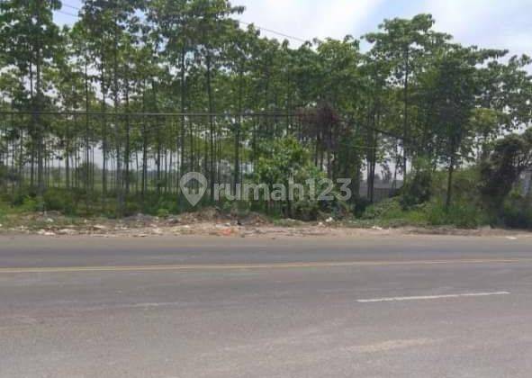 JUAL TANAH ZONA INDUSTRI CIKANDE 2