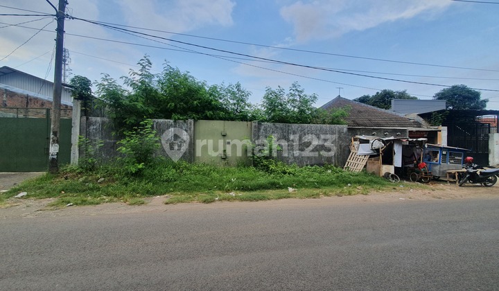 Tanah Disewakan Tanah Disewakan