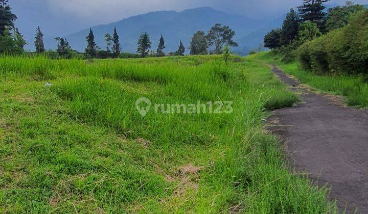 Tanah Murah Dibawah Njop Lokasi Wisata Cisarua Bogor 1