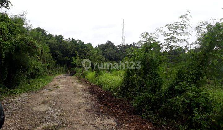 Tanah Murah Lokasi Terbaik di Kerambitan Tabanan Bali 2