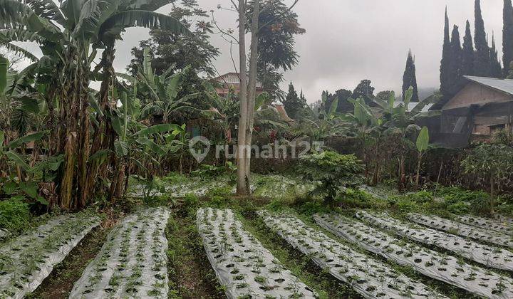 Tanah Pekarangan 840m2 Deket Rm Tawangmangu 1