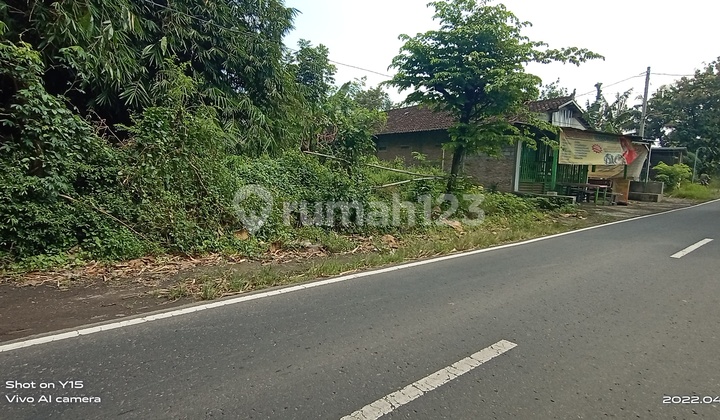 Tanah pinggir jalan aspal cocok untuk usaha  1