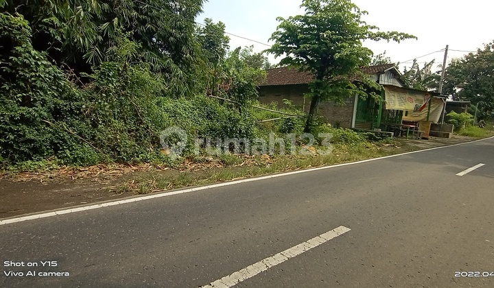 Tanah pinggir jalan aspal cocok untuk usaha  2
