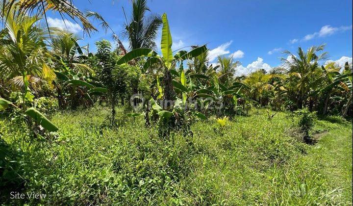 Enormous Parcel Of Commercial Freehold Land Close To Beach – Tabanan – 2120L 1