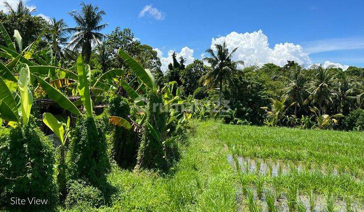 Enormous Parcel Of Commercial Freehold Land Close To Beach – Tabanan – 2120L 2