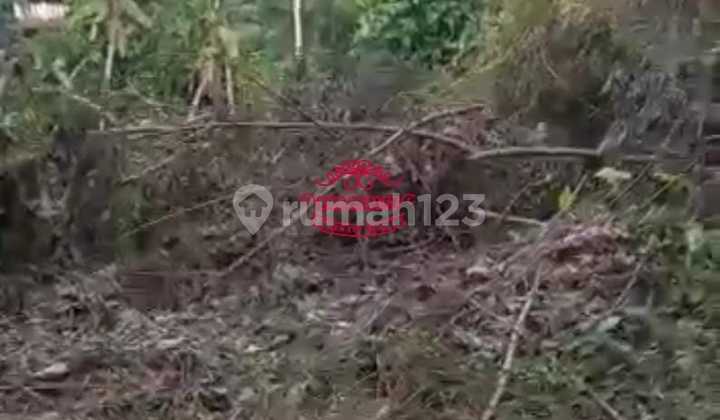 Tanah Jual Lokasi Ubud