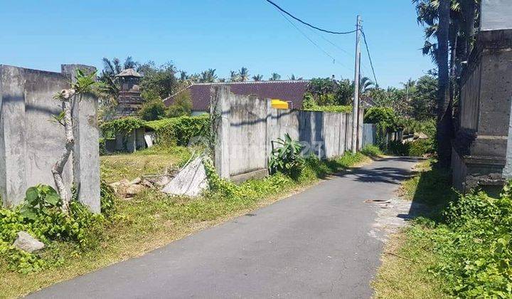 Tanah datar 200 meter dari Pantai Saba Bali 2