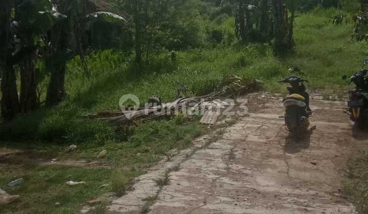 Kavling Tanah Lokasi Bagus