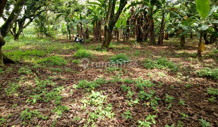 Tanah datar bentuk L di cisauk desa dandang Tangerang 2