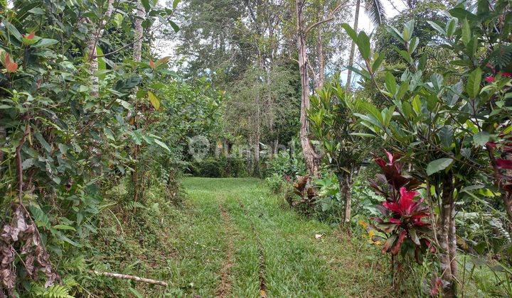 Land for Retreat at Belimbing, Pupuan, Tabanan, with Beautiful River View 1