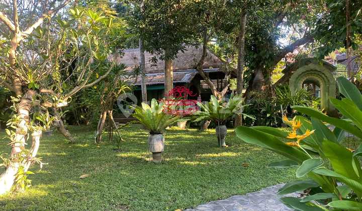 Tanah Jual Lokasi Seminyak Tanah Jual Lokasi Seminyak