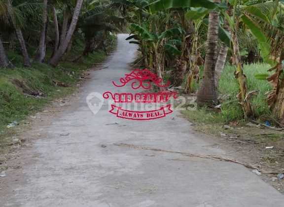 Tanah Jual Lokasi Saba Tanah Jual Lokasi Saba