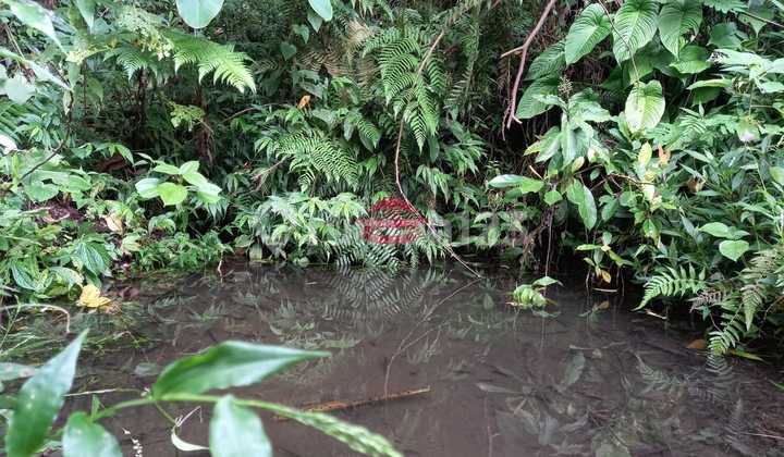 Land for Sale Location Wanagiri