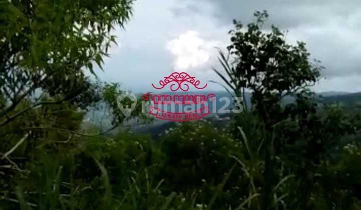 Land for Sale Location Wanagiri