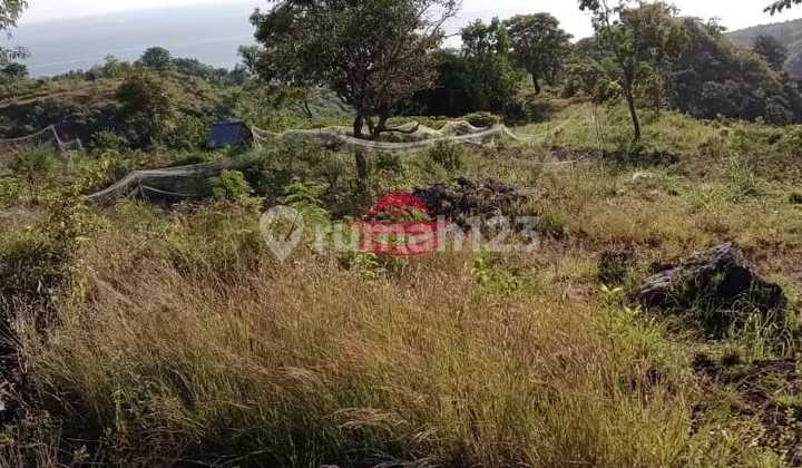 Tanah Jual Lokasi Suana