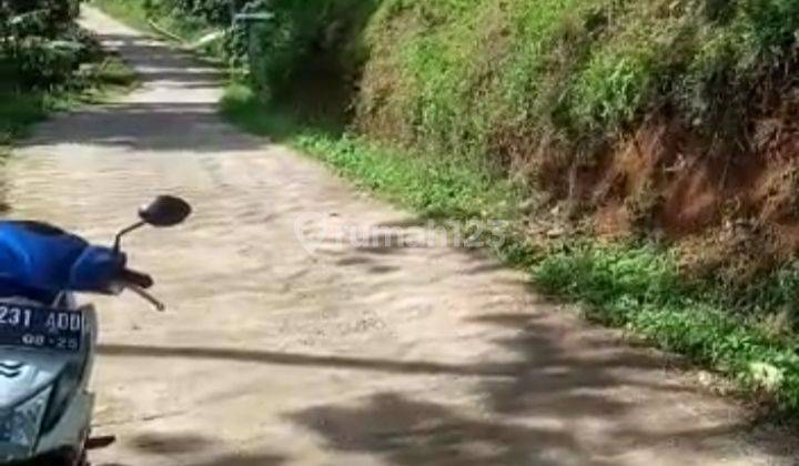 Lahan Tanah Kebun Durian di Bandungan Semarang 2