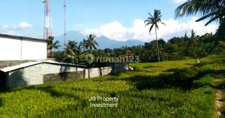 Lahan Tanah Sawah View Istimewa
Lokasi di Bandungan Semarang.  1