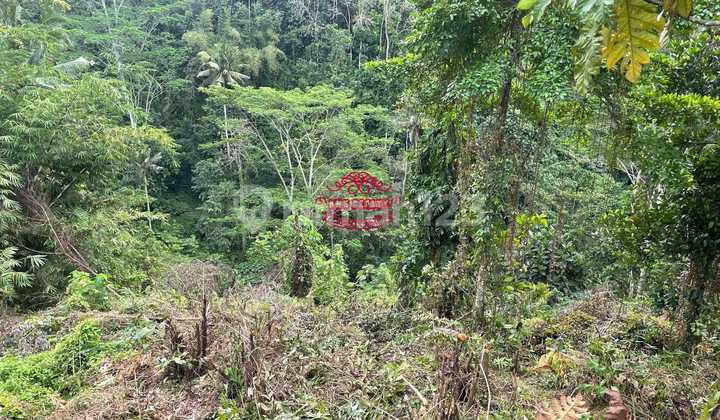 Tanah Jual Lokasi Pejeng