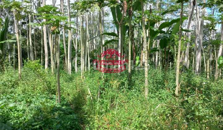 Land for Sale in Sebatu Location