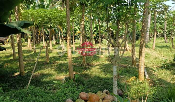 Tanah Jual Lokasi Saba Tanah Jual Lokasi Saba