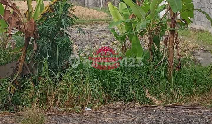 Land for Sale Location Saba