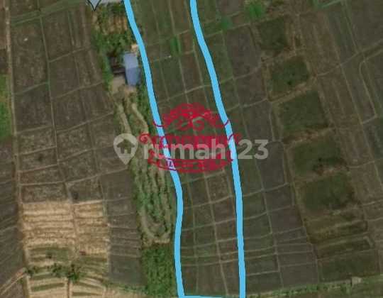 Tanah Jual Lokasi Pantai Lima