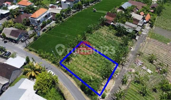 Tanah Jual Lokasi Tiying Tutul