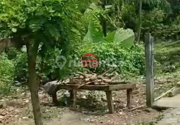 Tanah Jual Lokasi Pejeng