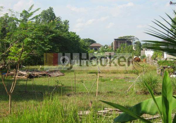 Land For Lease In Batu Belig, Seminyak, Kuta, Close To The Beach, Suitable For Business 2