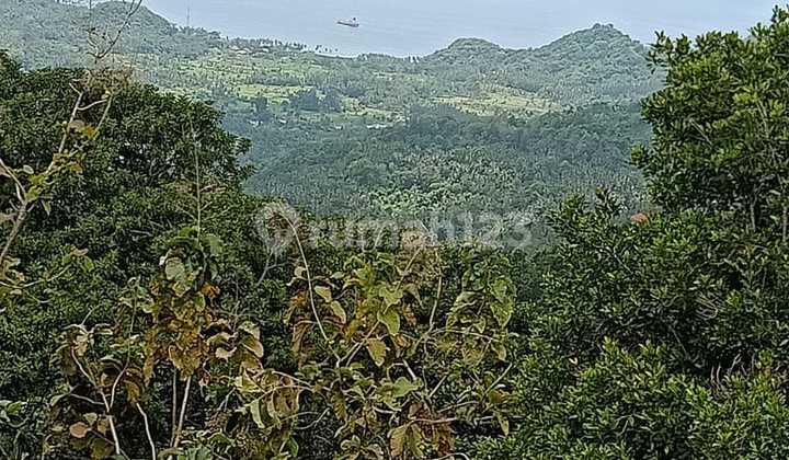 Tanah full view ocean dan bukit di karangasem