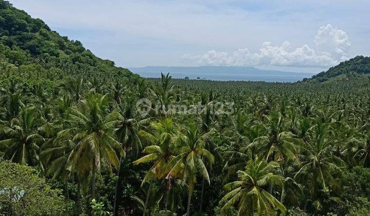 Full ocean and hill view land in Karangasem 1