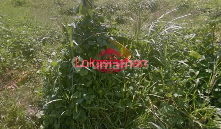 Tanah Jual Lokasi Padang Galak