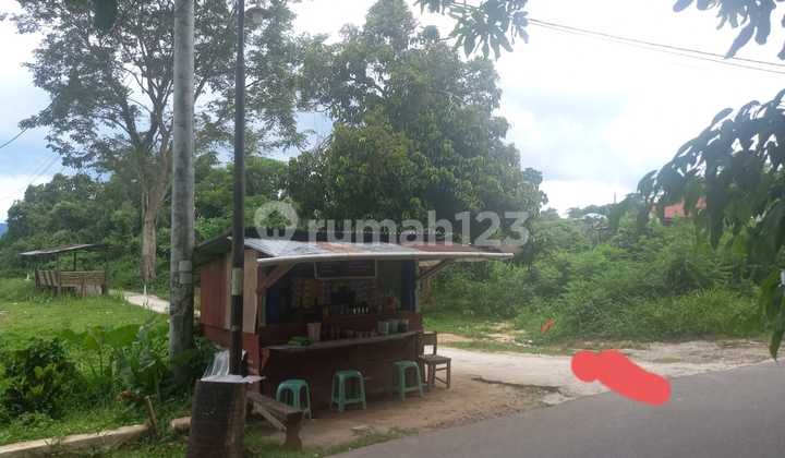 Cheap Land Quick strategic location in Halong Ambon