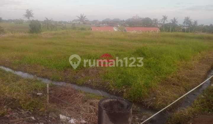 Tanah Jual Lokasi Seseh