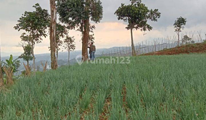 Tanah Murah View Kota Bandung daerah Bojong Koneng Atas 2