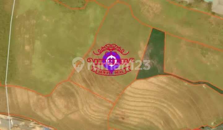 Land for Sale Location Pererenan