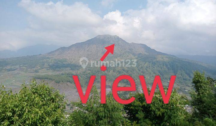 Land on the edge of the main road with a view of Mount Batur 1