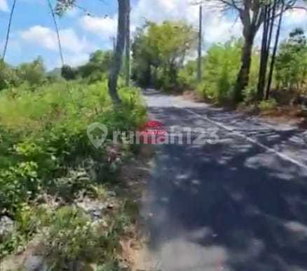 Tanah Jual Lokasi Ungasan Tanah Jual Lokasi Ungasan