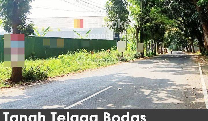 Tanah Murah Tlaga Bodas Karangrejo Gajahmungkur 1