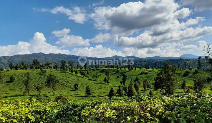 Dijual kavling siap bangun di Gambung, Ciwidey 1