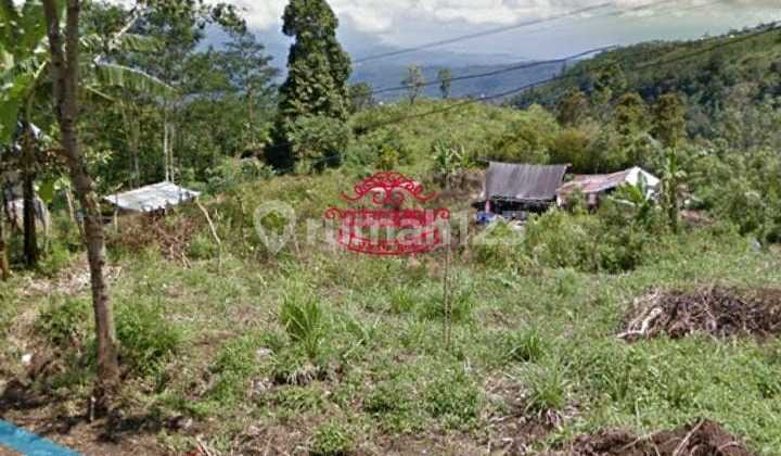 Tanah Jual Lokasi Munduk