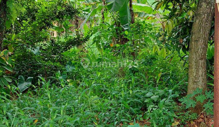 Tanah Dijual Dekat Pemda Cibinong, Bogor, Jawa Barat 1