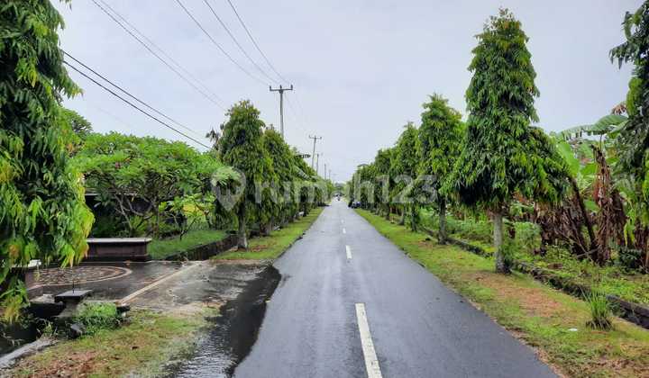 Tanah dekat pantai nyeh gangga lingkungan nyaman dan asri