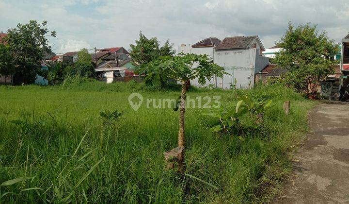 Tanah Kavling Badar lumut cibiru Bandung  1